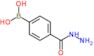 [4-(hydrazinecarbonyl)phenyl]boronic acid