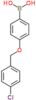 {4-[(4-chlorobenzyl)oxy]phenyl}boronic acid