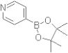 Pyridine-4-boronic acid pinacol cyclic ester