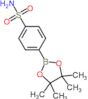 4-(4,4,5,5-tetramethyl-1,3,2-dioxaborolan-2-yl)benzenesulfonamide