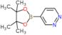 4-(4,4,5,5-tetramethyl-1,3,2-dioxaborolan-2-yl)pyridazine