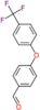 4-[4-(trifluoromethyl)phenoxy]benzaldehyde