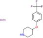 4-[4-(trifluoromethyl)phenoxy]piperidine hydrochloride (1:1)