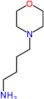 4-(morpholin-4-yl)butan-1-amine