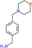 1-[4-(morpholin-4-ylmethyl)phenyl]methanamine