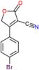 4-(4-bromophenyl)-2-oxo-2,5-dihydrofuran-3-carbonitrile