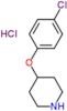 4-(4-chlorophenoxy)piperidine hydrochloride