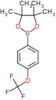 4,4,5,5-tetramethyl-2-[4-(trifluoromethoxy)phenyl]-1,3,2-dioxaborolane