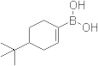 B-[4-(1,1-Dimethylethyl)-1-cyclohexen-1-yl]boronic acid