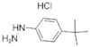 4-tert-Butylphenylhydrazine monohydrochloride