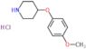 Piperidine, 4-(4-methoxyphenoxy)-, hydrochloride (1:1)