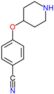 4-(4-Piperidinyloxi)benzonitrile