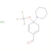 Methanone, 4-piperidinyl[4-(trifluoromethoxy)phenyl]-, hydrochloride