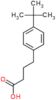 4-(1,1-Dimethylethyl)benzenebutanoic acid