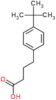 4-(4-tert-butylphenyl)butanoic acid