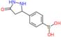 [4-(5-oxopyrazolidin-3-yl)phenyl]boronic acid