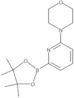 4-[6-(4,4,5,5-Tetramethyl-1,3,2-dioxaborolan-2-yl)-2-pyridinyl]morpholine