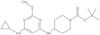 1,1-Dimethylethyl 4-[[6-(cyclopropylamino)-2-(methylthio)-4-pyrimidinyl]amino]-1-piperidinecarboxy…