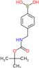 (4-{[(tert-butoxycarbonyl)amino]methyl}phenyl)boronic acid