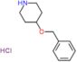 4-Benzyloxy-piperidine Hydrochloride