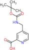 4-[(tert-butoxycarbonylamino)methyl]pyridine-2-carboxylic acid