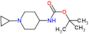 tert-butyl (1-cyclopropylpiperidin-4-yl)carbamate