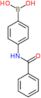 {4-[(phenylcarbonyl)amino]phenyl}boronic acid