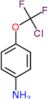 4-[chloro(difluoro)methoxy]aniline