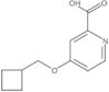 4-(Cyclobutylmethoxy)-2-pyridinecarboxylic acid
