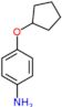 4-(Cyclopentyloxy)benzenamine