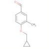 Benzaldehyde, 4-(cyclopropylmethoxy)-3-methyl-