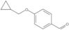 4-(Ciclopropilmetoxi)benzaldehído