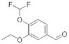 Benzaldehyde, 4-(difluoromethoxy)-3-ethoxy- (9CI)