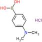 4-(Dimethylamino)phenylboronic acid hydrochloride