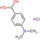 Boronic acid, B-[4-(dimethylamino)phenyl]-, hydrochloride (1:1)