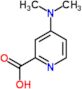 4-(dimethylamino)pyridine-2-carboxylic acid