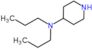 N,N-dipropylpiperidin-4-amine