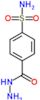 4-(hydrazinylcarbonyl)benzenesulfonamide