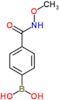 [4-(methoxycarbamoyl)phenyl]boronic acid