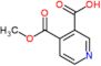 4-(methoxycarbonyl)pyridine-3-carboxylic acid