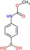{4-[(methoxycarbonyl)amino]phenyl}boronic acid
