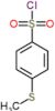 4-(Methylsulfanyl)benzenesulfonyl chloride