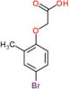 (4-bromo-2-methylphenoxy)acetic acid