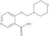 4-[(Tetrahydro-2H-pyran-4-yl)methoxy]-3-pyridinecarboxylic acid