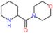 4-(piperidin-2-ylcarbonyl)morpholine hydrochloride