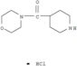 4-(piperidin-4-ylcarbonyl)morpholine hydrochloride