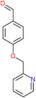 4-(pyridin-2-ylmethoxy)benzaldehyde