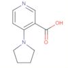 3-Pyridinecarboxylic acid, 4-(1-pyrrolidinyl)-