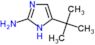 5-tert-butyl-1H-imidazol-2-amine