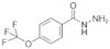 4-(trifluoromethoxy)benzoic acid hydrazide
